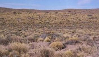 Se cortó el ciclo de sequía en Tucumán