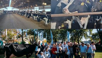 TodoLáctea mostró a la lechería como una oportunidad de vida: "Argentina tiene destino de grandeza, necesitamos inversiones para evitar que haya un exceso de oferta de leche"
