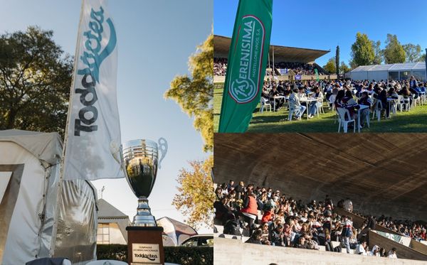 todolactea olimpiadas