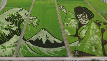 Juegos Olímpicos de Tokio: la enorme obra de arte que armaron en un campo de arroz