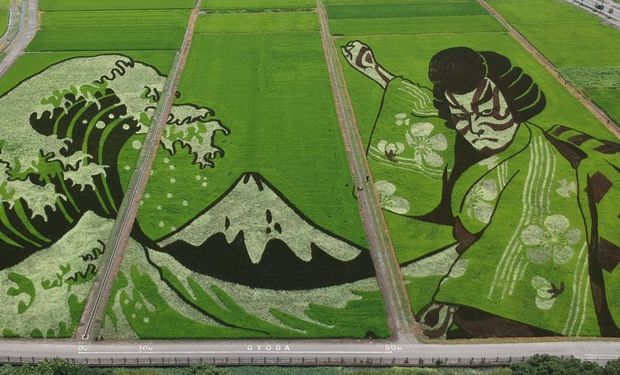 Juegos Olímpicos de Tokio: la enorme obra de arte que armaron en un campo de arroz