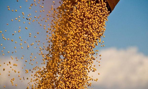 Productores liquidarán soja por mejor precio
