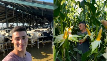 “Si no contamos lo que pasa, nadie lo va a hacer”: con 21 años maneja un tambo robotizado y muestra a diario cómo es producir leche en la Argentina
