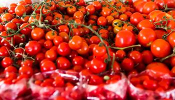 Preço do tomate dispara 18%; confira produtos mais em conta