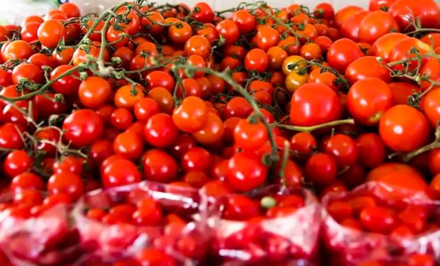 Preço do tomate dispara 18%; confira produtos mais em conta