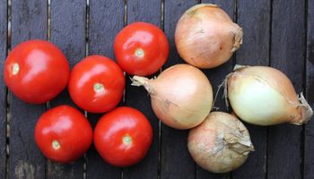 Produtividade do tomate e da cebola cai na safra 2023/2024