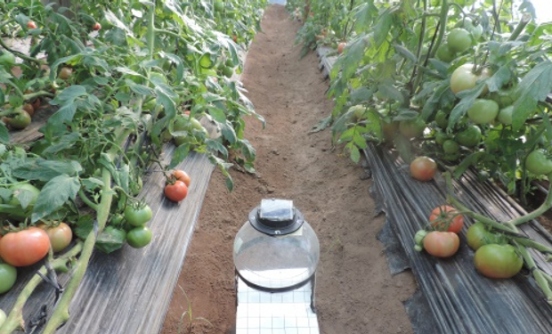 Este tipo de trampas se alimentan con energía solar y combina la tecnología de las luces led.