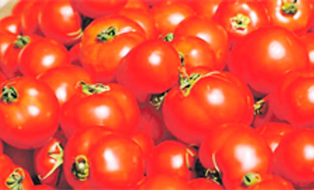 Sugieren reducir consumo de tomate, subirán los precios