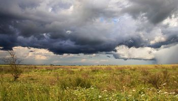 Alerta amarilla por tormentas en Buenos Aires, Córdoba, San Luis y La Pampa