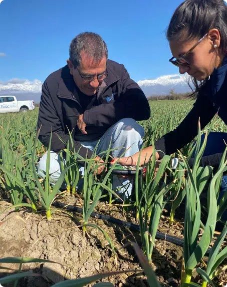 timac agro productos