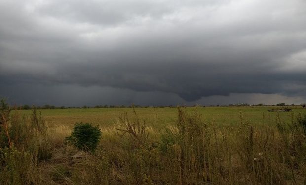 La lluvia llegaría a la zona núcleo para el fin de semana largo