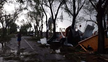 $1.000.000 por productor: cómo es la ayuda del Estado por la destrucción de 40 mil hectáreas en Santa Fe