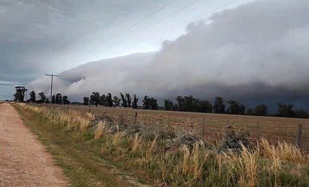 Cómo va a seguir el clima: el nuevo pronóstico de El Niño, ahora con más chances del regreso de La Niña