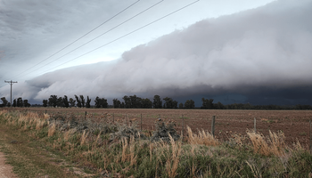 Tormenta de Santa Rosa: alerta amarilla por fuertes lluvias en Córdoba, Santa Fe, Entre Ríos y Buenos Aires