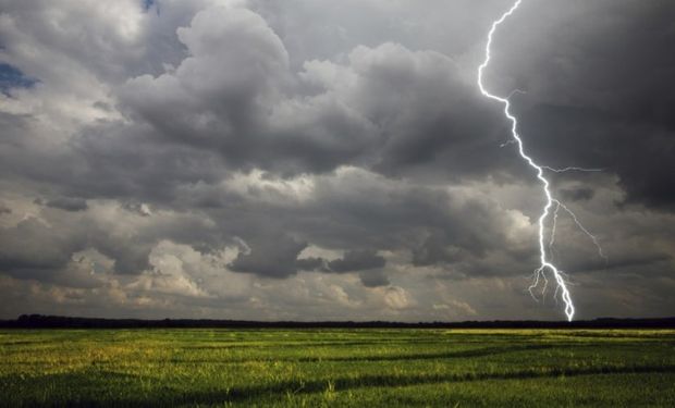 Las lluvias en nuestro país fueron negativas para los precios.