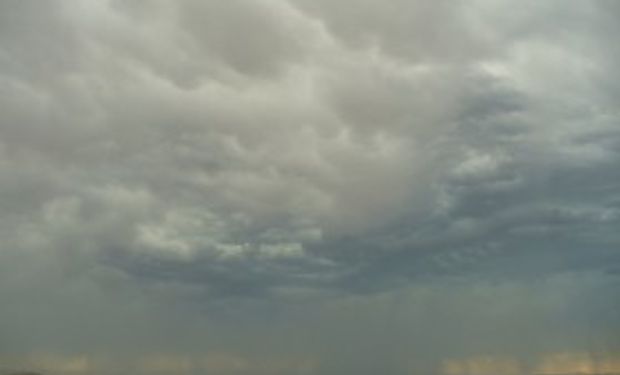 El jueves llegan lluvias para las zonas productivas más necesitadas