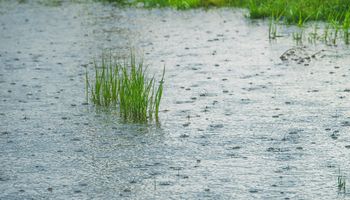 Cayeron hasta 200 mm y se encienden alarmas por las lluvias en el campo