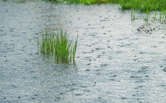 Hay zonas que están gravemente afectadas por el temporal; qué hay detrás de estos grandes acumulados