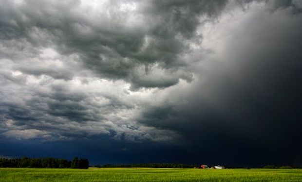 Trabajo en conjunto para mitigar el impacto del Cambio Climático.