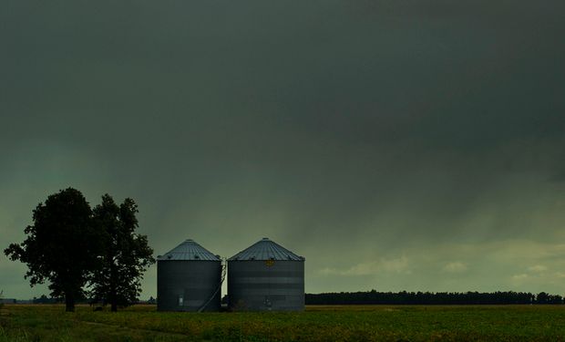 Brasil está generando soporte en los precios ya que existen pronósticos de lluvias que impedirían el avance fluido de la cosecha.