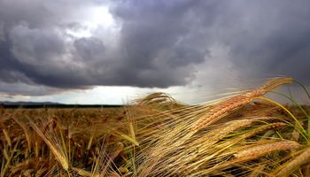 Seguirá presente el mal tiempo en varias regiones
