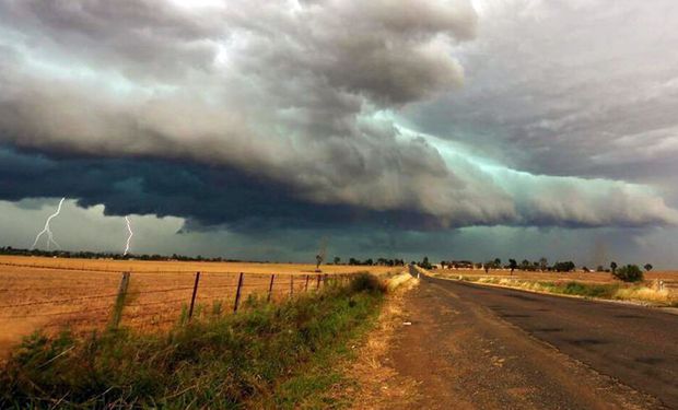 Un rayo mató a 20 vaquillonas en medio de una tormenta en Córdoba