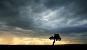 Alerta por tormentas para Entre Ríos y Santa Fe