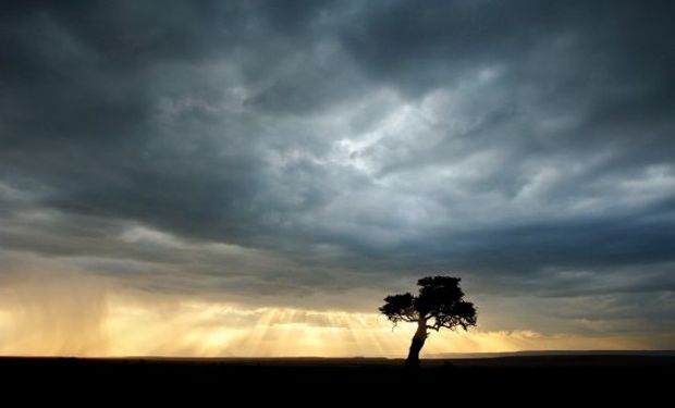 Alerta por lluvias y tormentas.