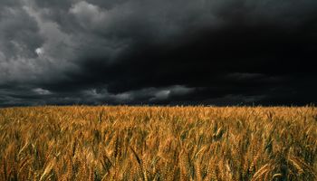 Condiciones climáticas adversas interrumpieron siembra y cosecha