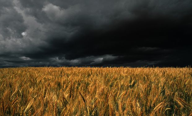 Los pronósticos prevén inestabilidad climática con precipitaciones diversas, chaparrones con intensidades variables.