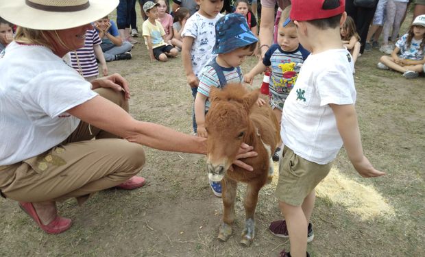 Tornadito interactuando con los niños que visitan la granja.