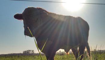 Prevén algunas lluvias y un fuerte ascenso de las temperaturas
