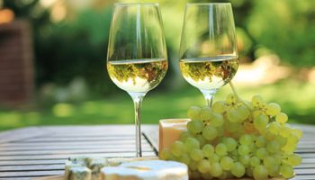 Semana del Torrontés: cuáles son sus características y con qué acompañar este vino blanco