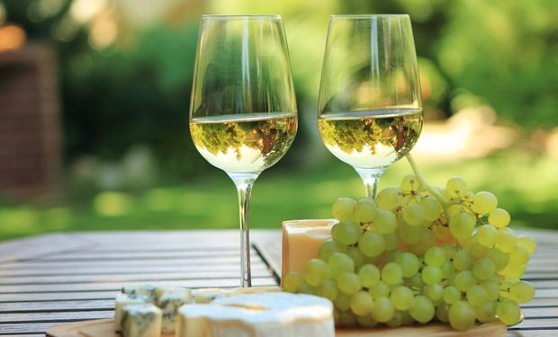 Semana del Torrontés: cuáles son sus características y con qué acompañar este vino blanco