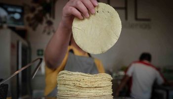 México cuestiona el maíz transgénico e investigará el impacto en las tortillas 