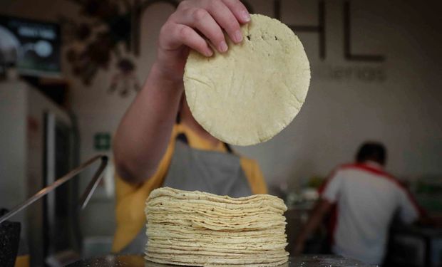 México cuestiona el maíz transgénico e investigará el impacto en las tortillas 