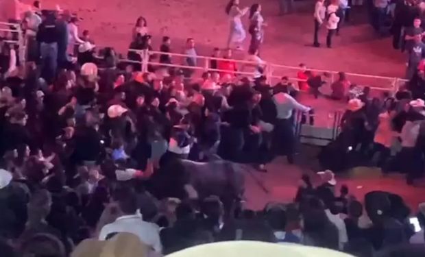 Touro feriu as pessoas que aguardavam o show da cantora no último domingo. (Foto - Reprodução)