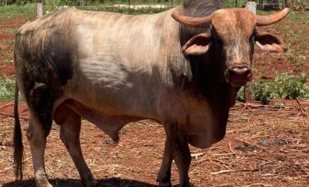 (Foto: Jefferson dos Santos/Arquivo Pessoal)