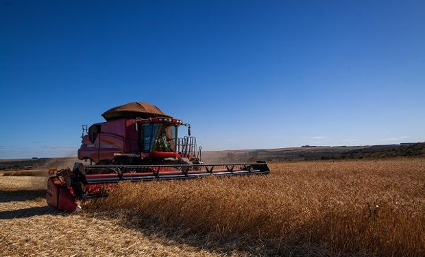 Mala noticia para Argentina: en 2023 caerá un 10% el ingreso de divisas de la cosecha