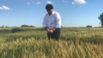 Sarquís, asesor de agro en Juntos por el Cambio: qué piensa sobre la eliminación de retenciones, el dólar agro y el "plan aguantar"