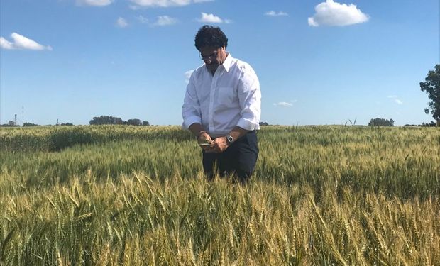 Sarquís, asesor de agro en Juntos por el Cambio: qué piensa sobre la eliminación de retenciones, el dólar agro y el "plan aguantar"