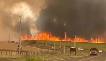 Alerta máxima en Brasil: el fuego arrasa a los campos y hay más de 30 ciudades y millones de personas afectadas