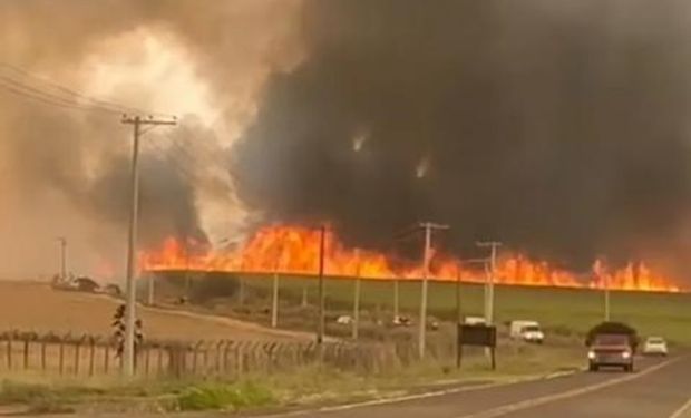 Alerta máxima en Brasil: el fuego arrasa a los campos y hay más de 30 ciudades y millones de personas afectadas