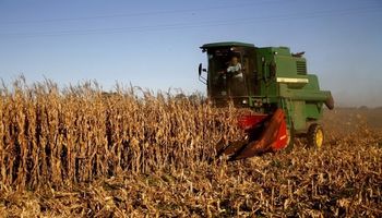 Buenos Aires creció un 17% en exportaciones de cereales durante el 2018