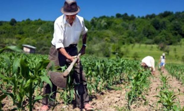 El monto de la tarifa sustitutiva y de los otros aportes sociales son calculados teniendo en cuenta el número de jornales necesarios para la siembra, cosecha y recolección de una tonelada de cada uno de los productos.