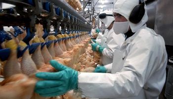 El sector avícola acordó un incremento salarial del 12 %