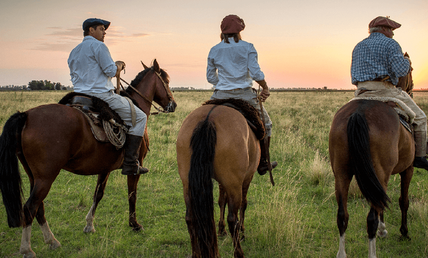 Es oficial y hay aumento: cuánto es el sueldo de un trabajador rural en 2025