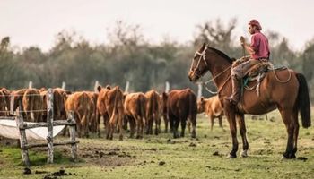 Aumenta un 3 % la prestación por desempleo rural: rigen nuevos montos a partir de marzo