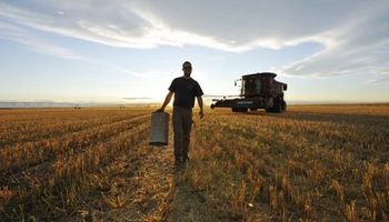 Emergencia agropecuaria: amplían los beneficios para los empleadores rurales