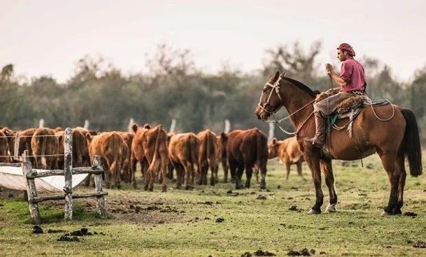 Los trabajadores rurales recibirán un bono de $ 50.000 sin la aprobación de la Mesa de Enlace